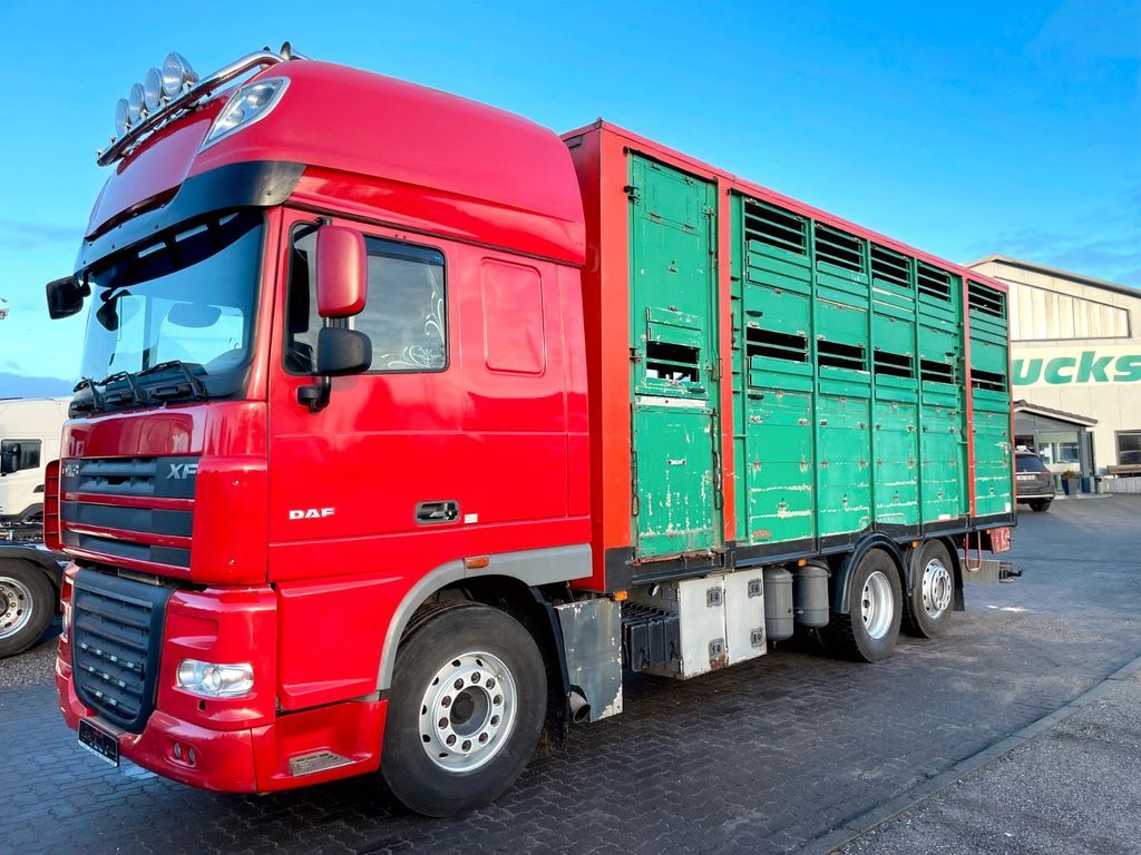 camion transport animale DAF  XF 105.460