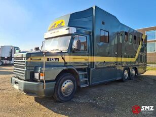 camion transport animale Scania 113 paarden/mobilhome