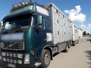 camion transport animale Volvo FH 12 Animal transporter