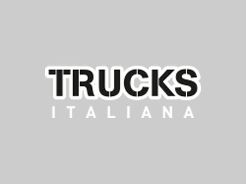 etrier frana pentru camion IVECO STRALIS